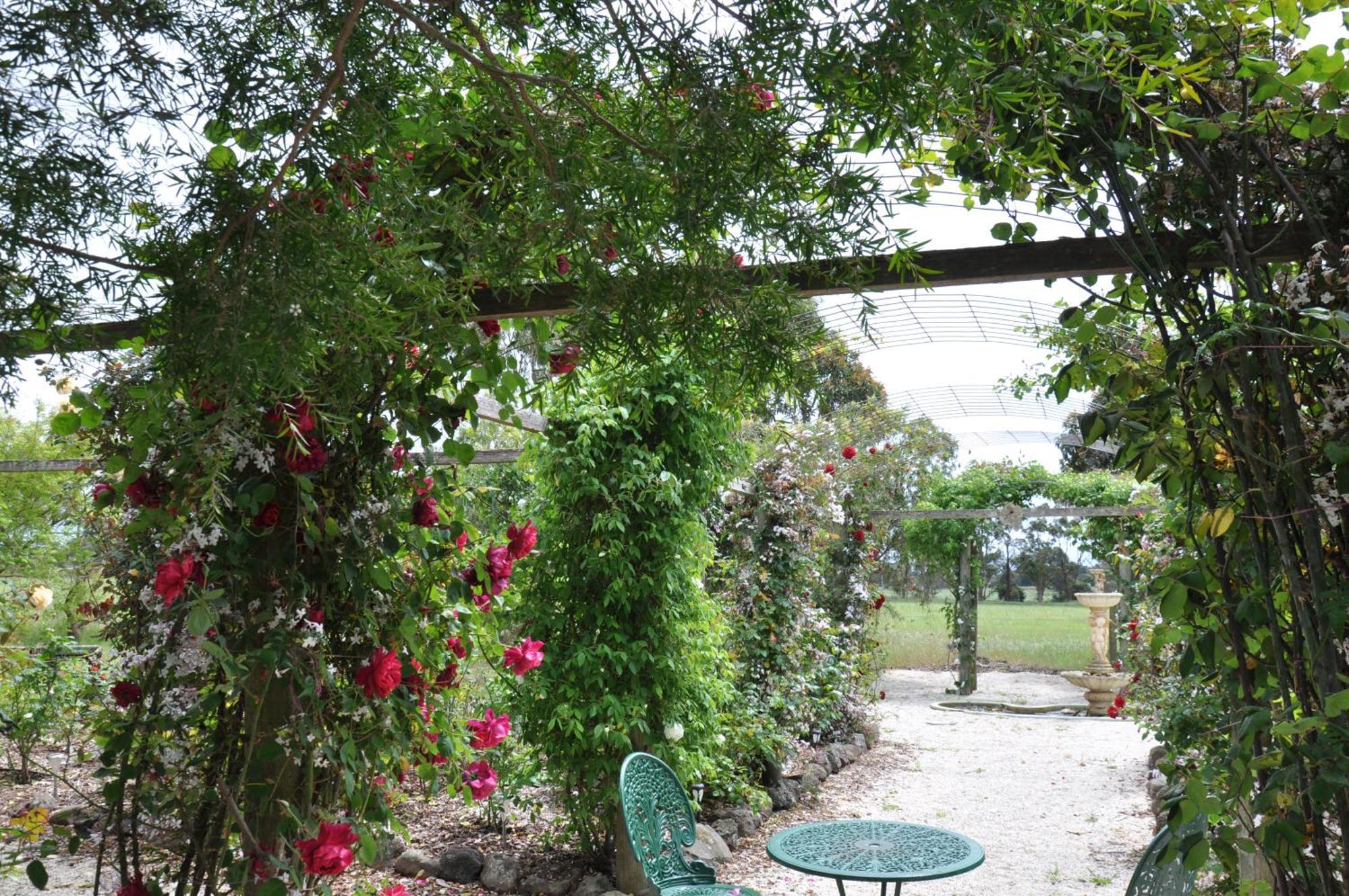 Fairy Wren Cottage Country To Coast Retreat Wallington Værelse billede